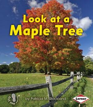 Look at a Maple Tree by Patricia M. Stockland