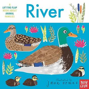River: A Lift-the-Flap Book about Animal Families by Jane Ormes