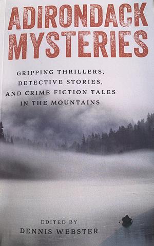 Adirondack Mysteries: And Other Mountain Tales by Tico Brown, John H. Briant, Angela Zeman, Gigi Vernon, Dennis Webster, W.K. Pomeroy, S.W. Hubbard, David J. Pitkin, Paul Nandzik, Cheryl Ann Costa