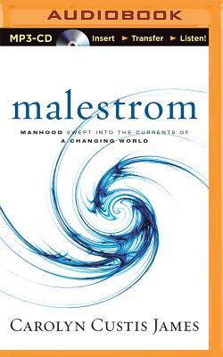 Malestrom: Manhood Swept Into the Currents of a Changing World by Carolyn Custis James