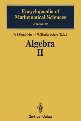 Algebra II: Noncommutative Rings Identities by 