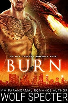 Burn by Wolf Specter