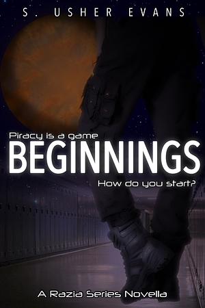 Beginnings by S. Usher Evans