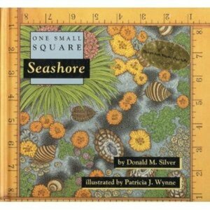 Seashore by Donald M. Silver