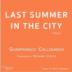 Last Summer in the City by Gianfranco Calligarich