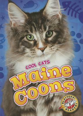 Maine Coons by Rebecca Felix