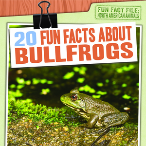 20 Fun Facts about Bullfrogs by Therese M. Shea