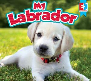 My Labrador by Heather Kissock