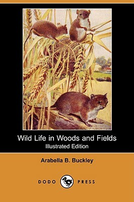 Wild Life in Woods and Fields (Illustrated Edition) (Dodo Press) by Arabella B. Buckley