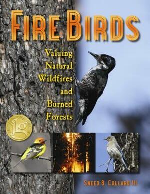 Fire Birds by Sneed B. Collard III