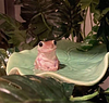 treadawilla's profile picture
