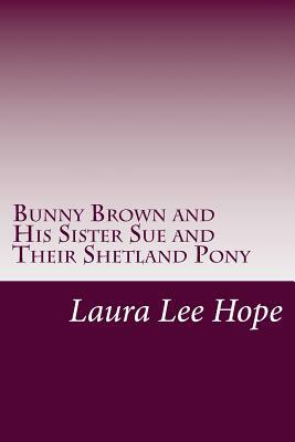 Bunny Brown and His Sister Sue and Their Shetland Pony by Laura Lee Hope