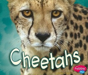 Cheetahs by Deborah Nuzzolo, Gail Saunders-Smith