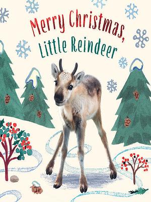 Merry Christmas, Little Reindeer by Amanda Wood