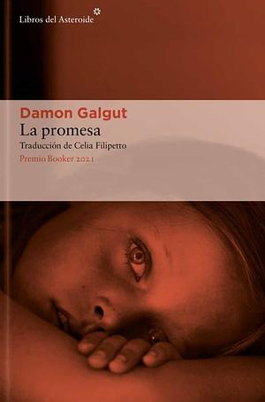 La promesa by Damon Galgut