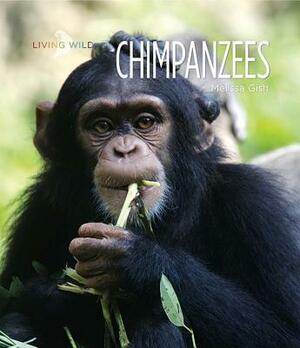 Chimpanzees by Melissa Gish