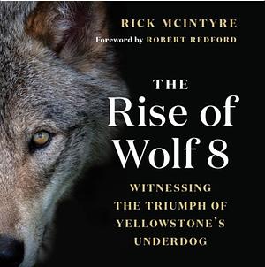 The Rise of Wolf 8 by Rick McIntyre