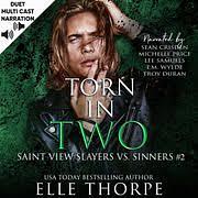 Torn in Two by Elle Thorpe