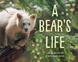 A Bear's Life by Nicholas Read