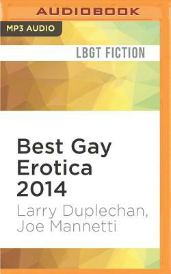 Best Gay Erotica 2014 by Joe Mannetti, Larry Duplechan