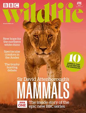 BBC Wildlife  by 