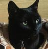 hjb_128's profile picture