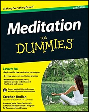 Meditation For Dummies, w/Audio CD by Stephan Bodian