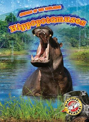 Hippopotamuses by Rachel Grack