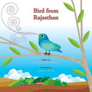 Bird from Rajasthan by Harvey Rosenberg