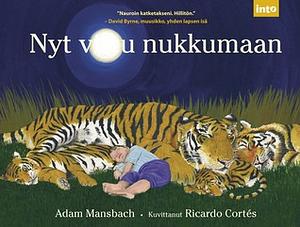 Nyt vittu nukkumaan by Adam Mansbach, Kaj Lipponen, Ricardo Cortés