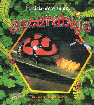 El Ciclo de Vida del Escarabajo by Bobbie Kalman, Molly Aloian