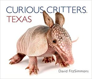 Curious Critters Texas by David FitzSimmons