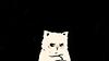 koe_14's profile picture
