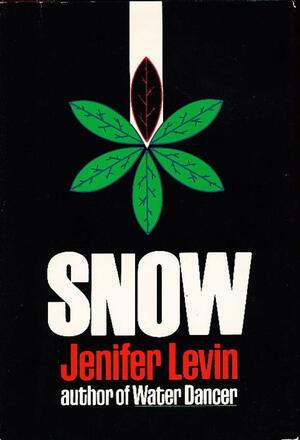 Snow by Jenifer Levin