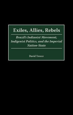 Exiles, Allies, Rebels: Brazil's Indianist Movement, Indigenist Politics, and the Imperial Nation-State by David Treece