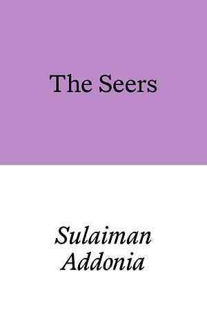 The Seers by Sulaiman Addonia