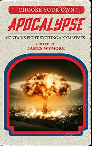 Choose Your Own Apocalypse by Jason King, David J. West, James Wymore, Holli Anderson, Robert J. Defendi, Daniel Swenson, D.J. Butler, Craig Nybo