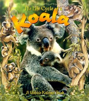 Koala by Bobbie Kalman