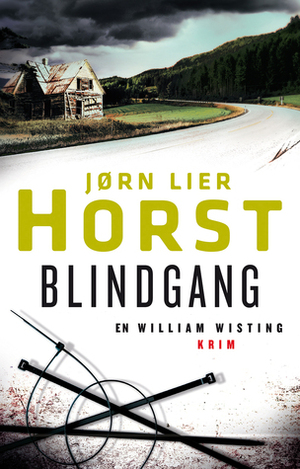 Blindgang by Jørn Lier Horst