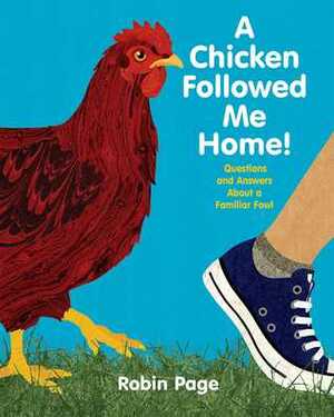 A Chicken Followed Me Home!: Questions and Answers about a Familiar Fowl by Robin Page
