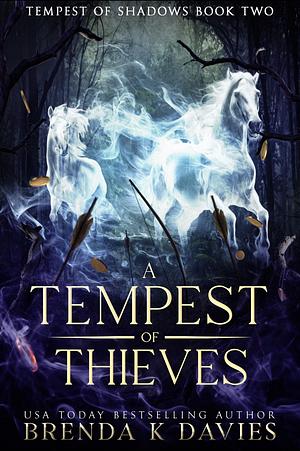 A Tempest of Thieves by Brenda K. Davies