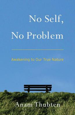 No Self, No Problem: Awakening to Our True Nature by Anam Thubten