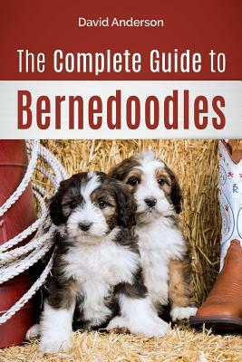 The Complete Guide to Bernedoodles: Everything you need to know to successfully raise your Bernedoodle puppy! by David Anderson