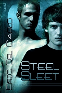 Steel Sleet by Eric Del Carlo