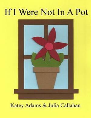 If I Were Not In A Pot by Katey Adams, Julia Callahan