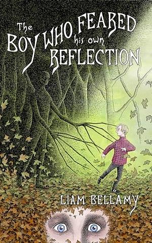 The Boy Who Feared his own Reflection by Liam Bellamy, J. Larson