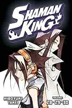 Shaman King. Omnibus, Vol. 10 by Hiroyuki Takei