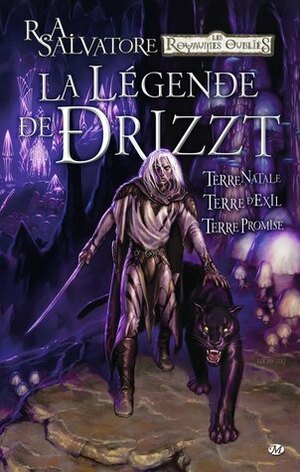 La Légende de Drizzt: Terre natale / Terre d'exil / Terre promise by R.A. Salvatore, Tim Seeley, Andrew Dabb