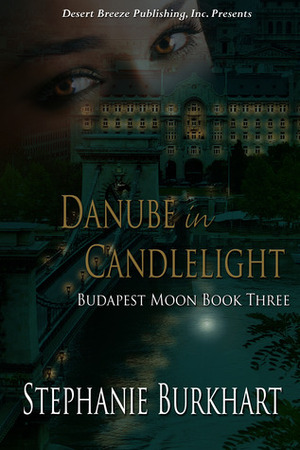 Danube in Candlelight by Stephanie Burkhart
