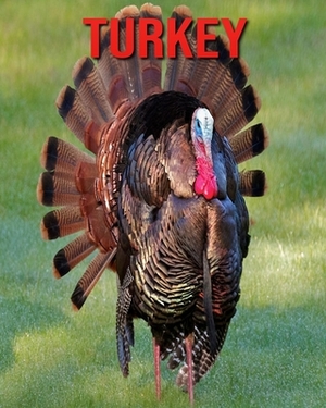 Turkey: Fun Facts & Cool Pictures by Sarah Jackson